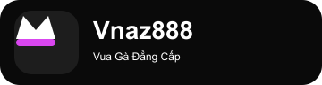vnaz888.net Logo